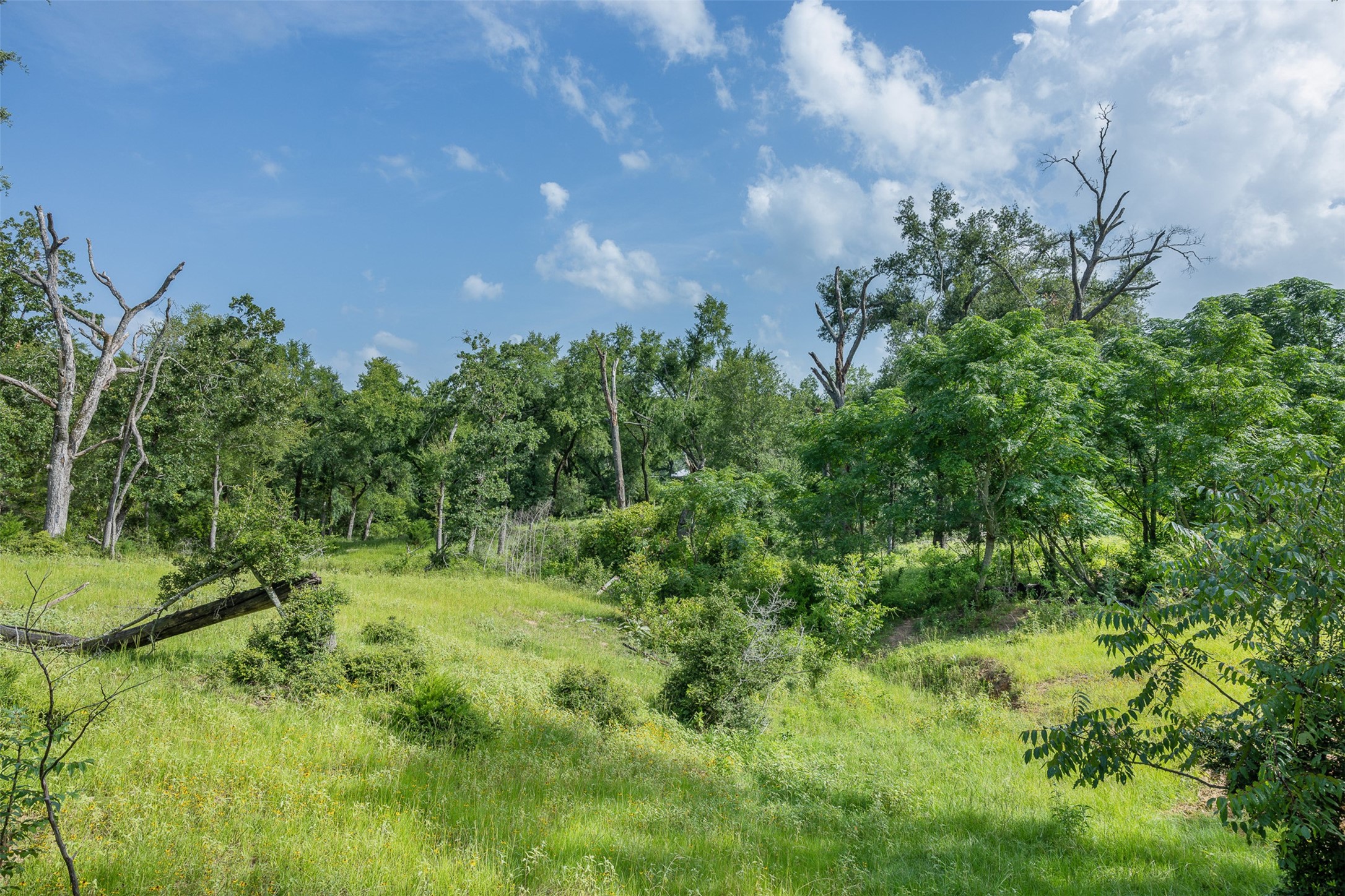 Tbd Red Rock Road Franklin, TX 77856 - Photo 13 of 19 a view of a lush green space