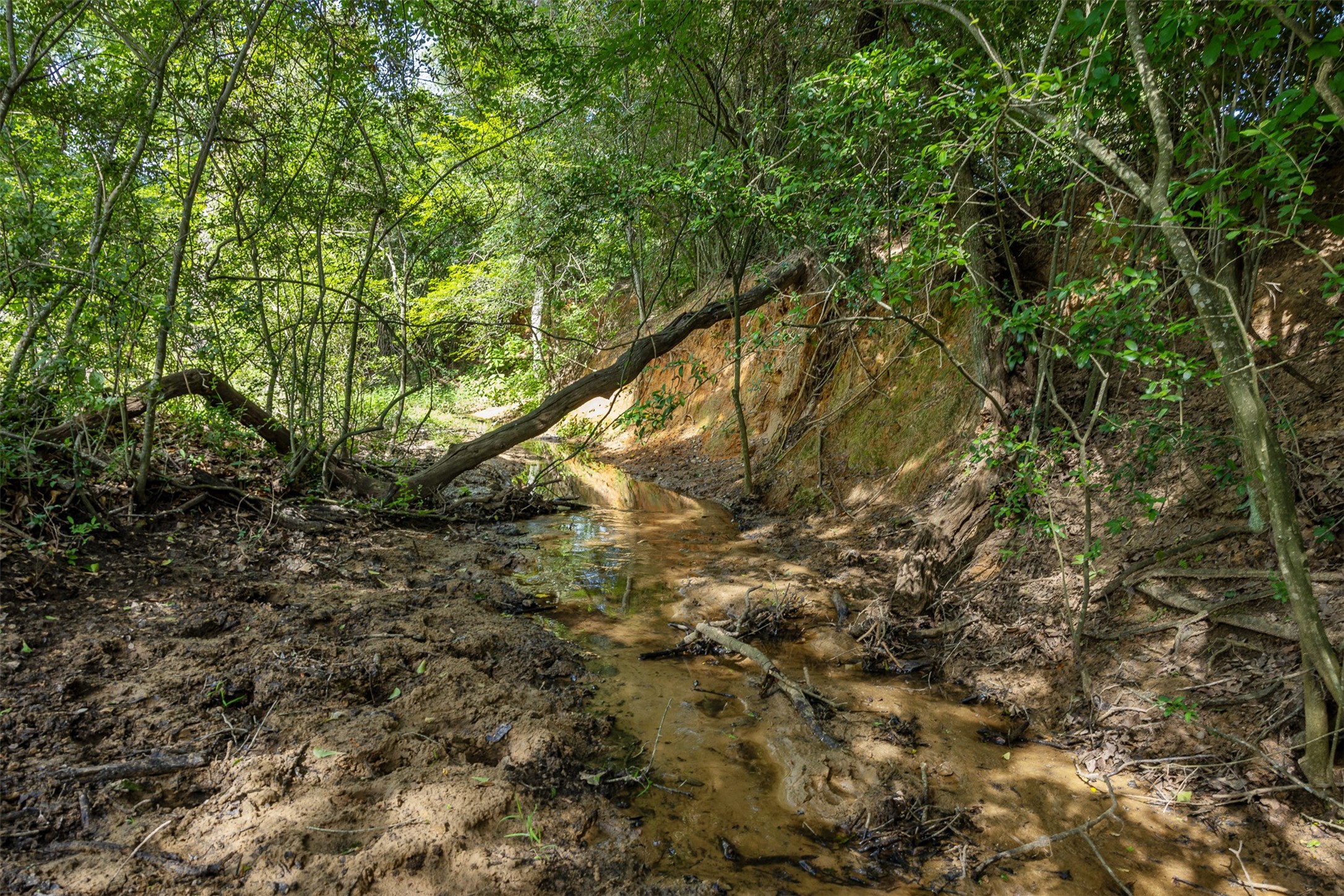 Tbd Red Rock Road Franklin, TX 77856 - Photo 17 of 19