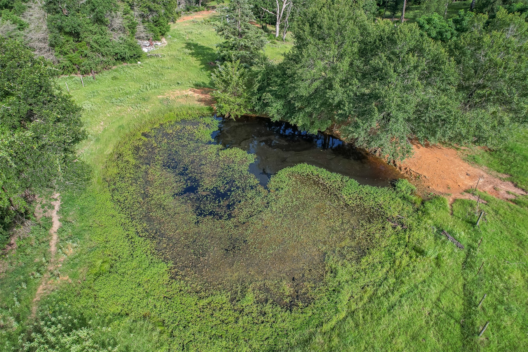 Tbd Red Rock Road Franklin, TX 77856 - Photo 18 of 19 a view of a lake with a yard