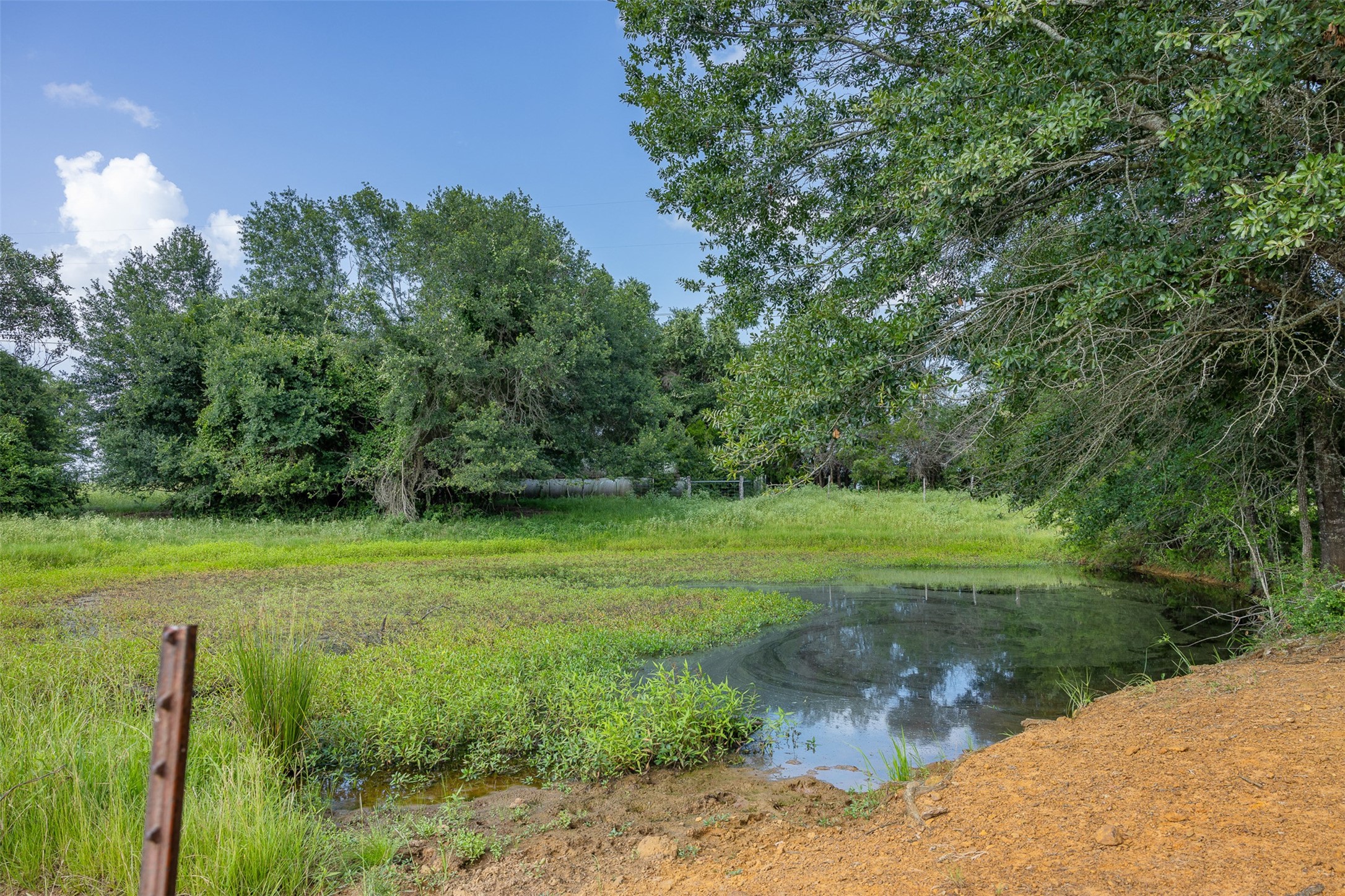 Tbd Red Rock Road Franklin, TX 77856 - Photo 3 of 19 a view of a garden with plants and large trees