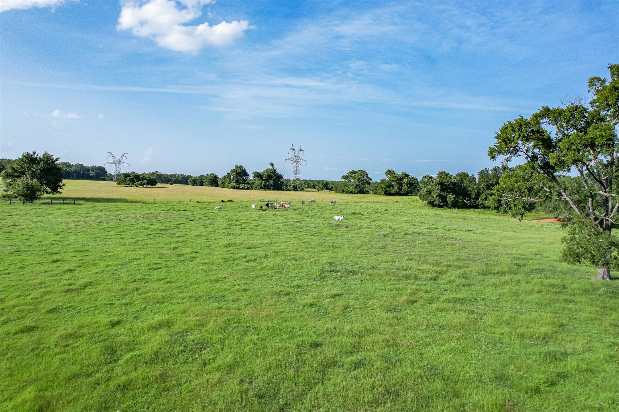 Tbd Red Rock Road Franklin, TX 77856 - Photo 5 of 19 a view of a field with an ocean