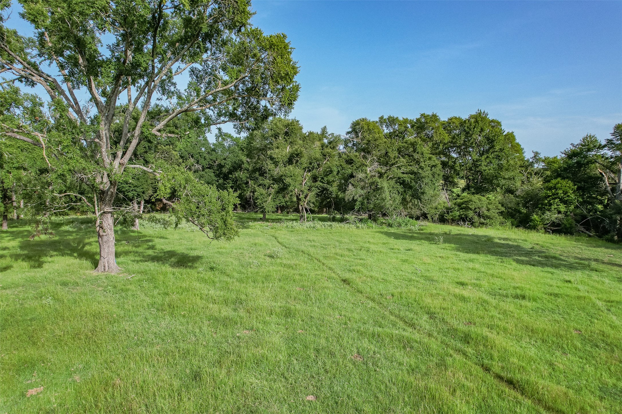 Tbd Red Rock Road Franklin, TX 77856 - Photo 6 of 19 a big yard with lots of green space and house in the back