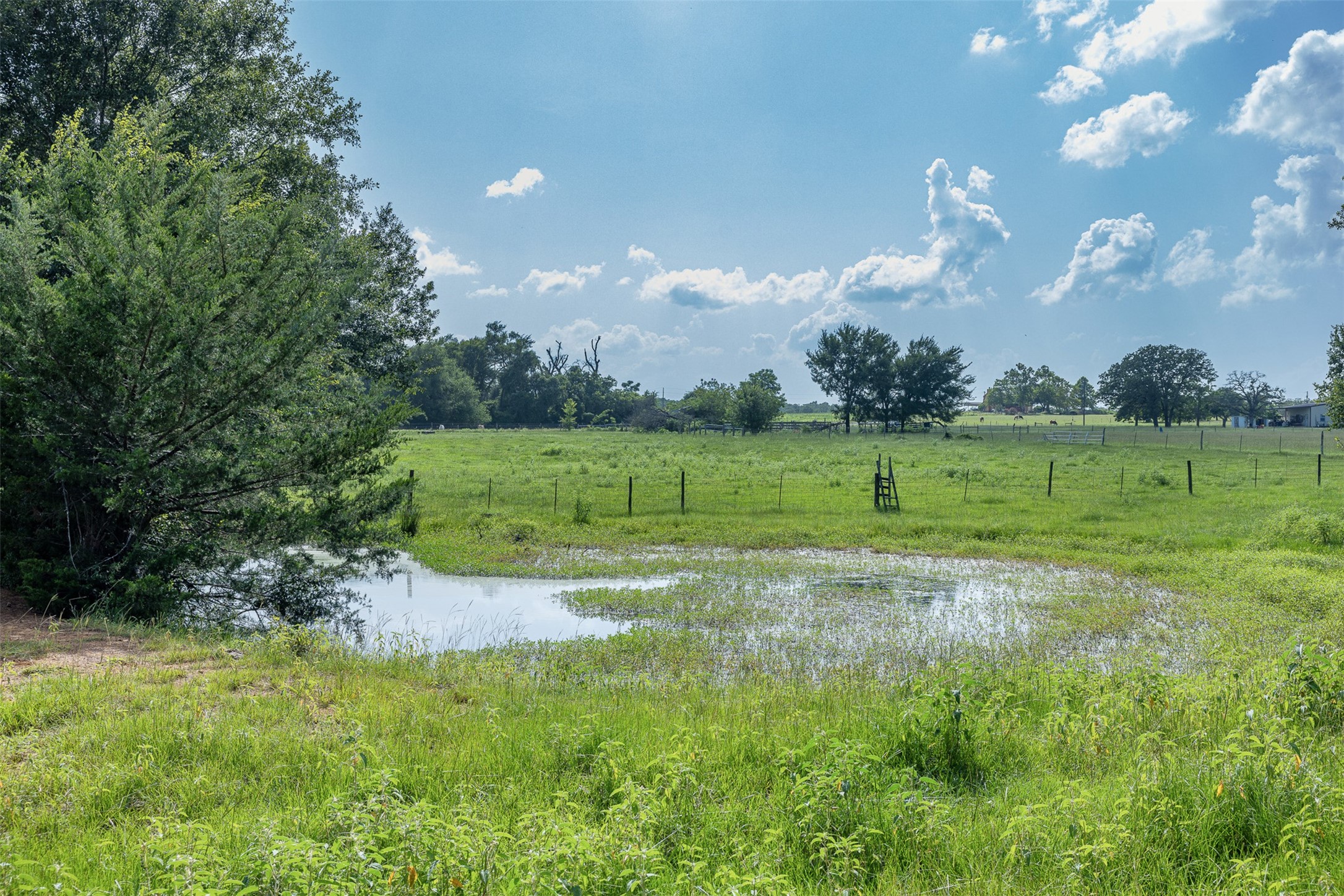 Tbd Red Rock Road Franklin, TX 77856 - Photo 9 of 19 a view of a grassy field with trees