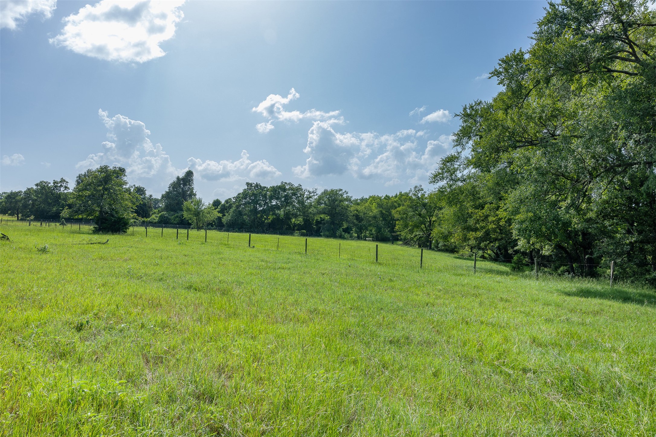 Tbd Red Rock Road Franklin, TX 77856 - Photo 10 of 19 a backyard of a house with lots of green space