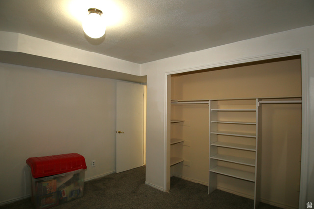 1612 East 450 South Springville, UT 84663 - Photo 41 of 48 Built-in closet system featuring multiple shelves and hanging rods, neutral wall tones, and overhead flush-mount lighting