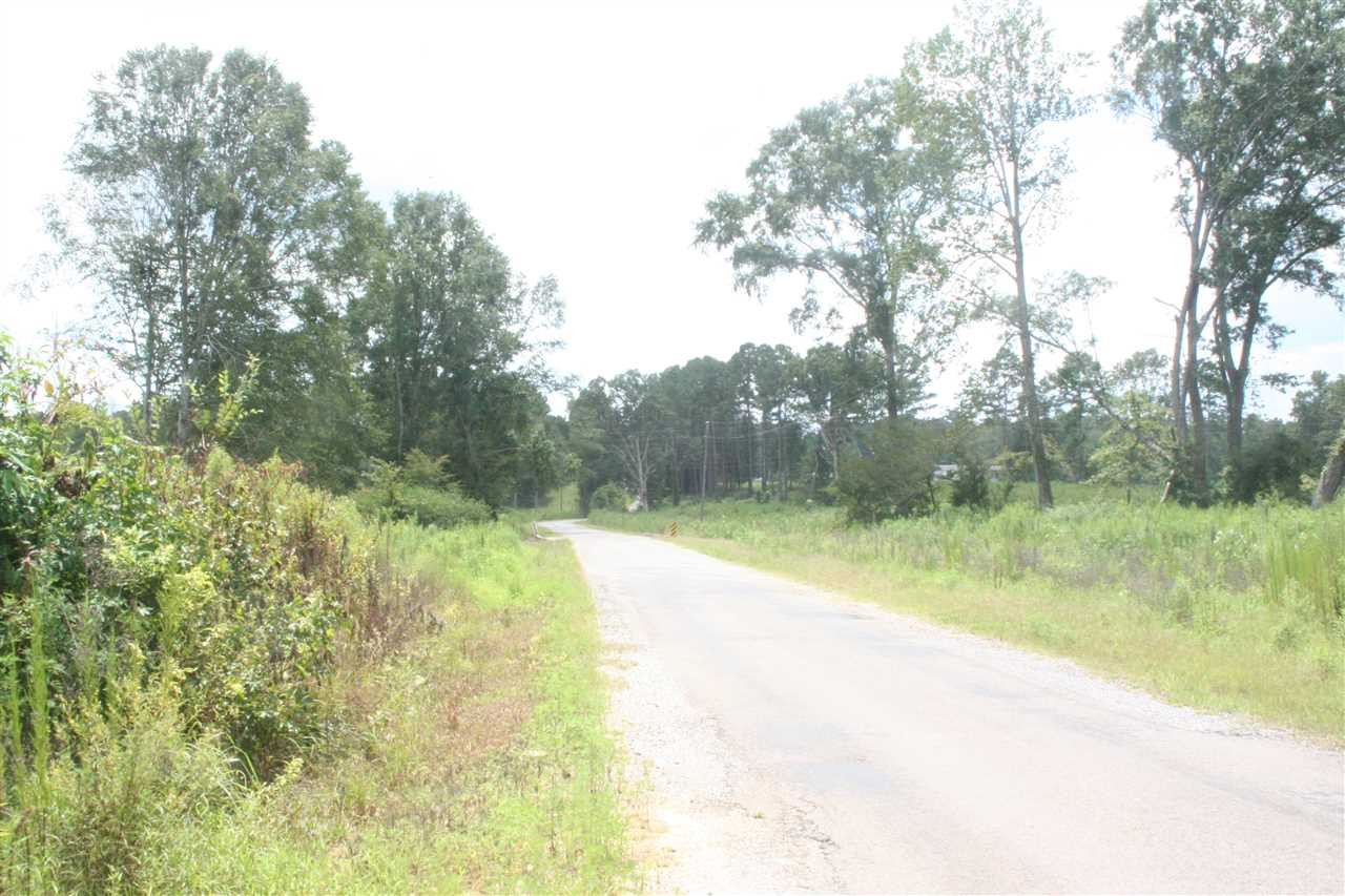 0 Pleasant Valley Road Decatur, MS 39327 - Photo 1 of 17 Photo 1
