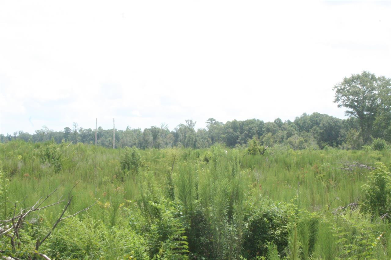 0 Pleasant Valley Road Decatur, MS 39327 - Photo 12 of 17 Photo 12