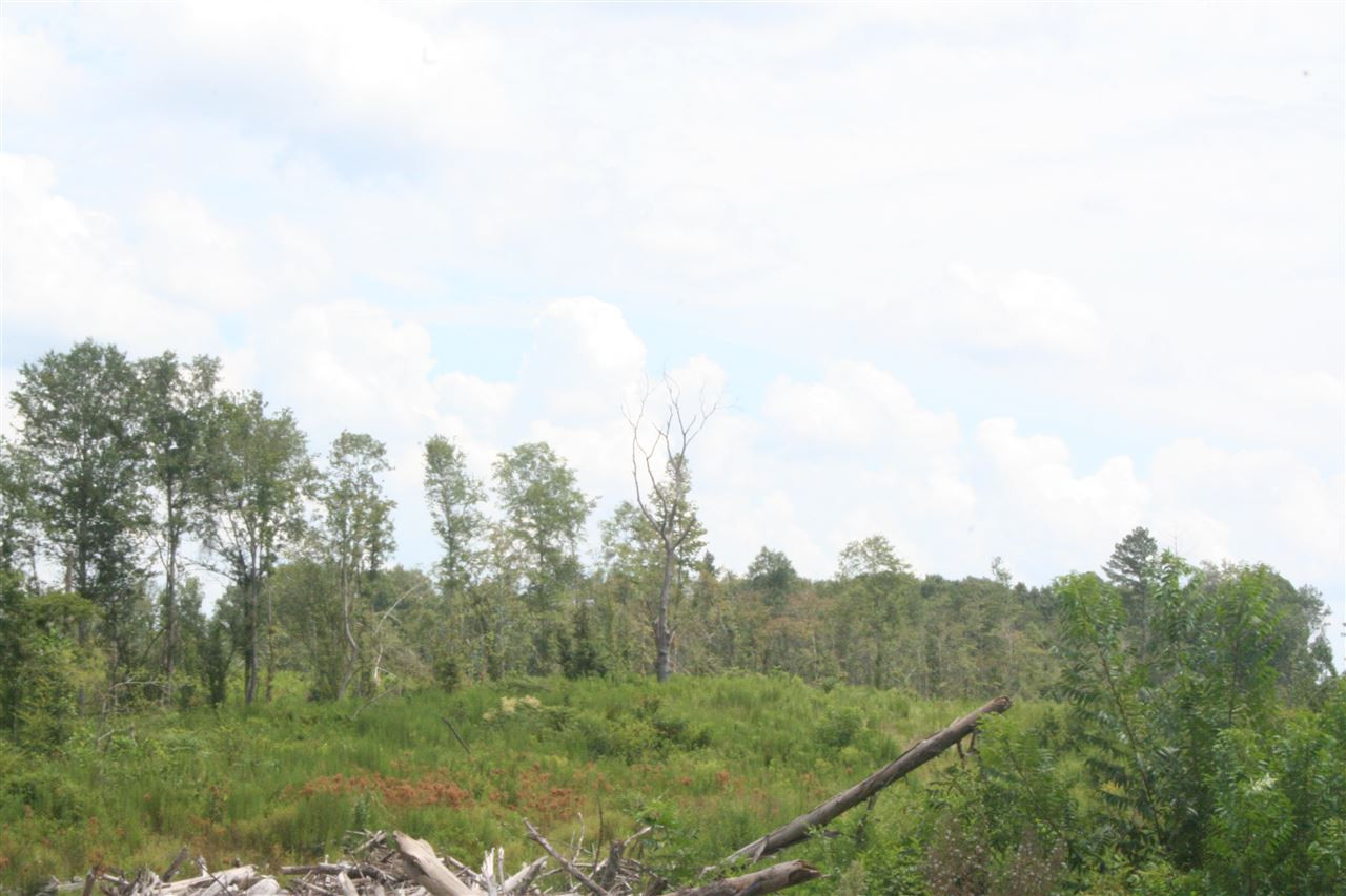 0 Pleasant Valley Road Decatur, MS 39327 - Photo 14 of 17 Photo 14