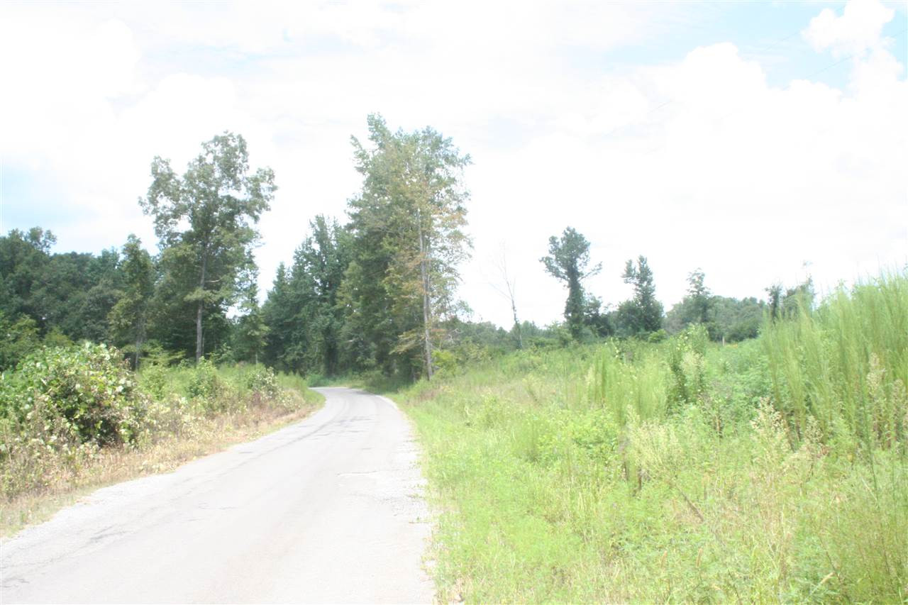 0 Pleasant Valley Road Decatur, MS 39327 - Photo 15 of 17 Photo 15