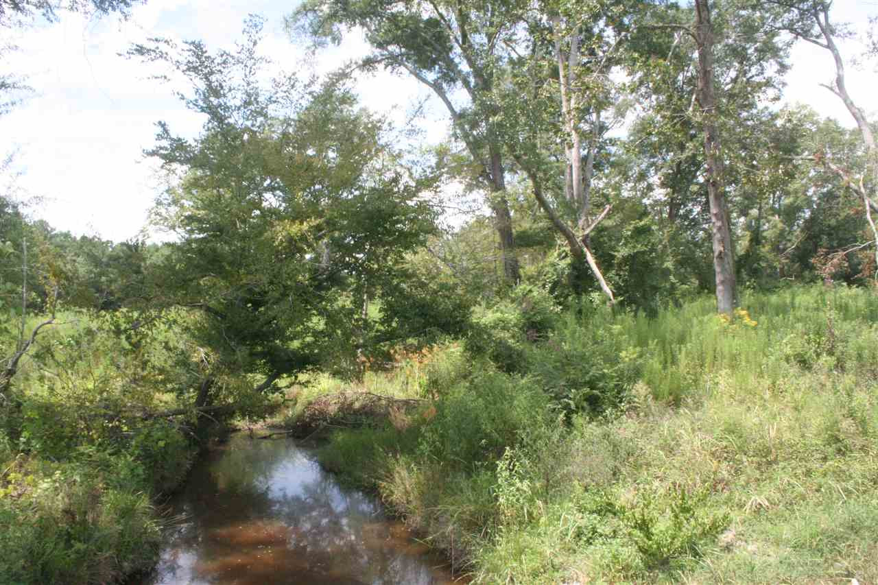 0 Pleasant Valley Road Decatur, MS 39327 - Photo 16 of 17 Photo 16
