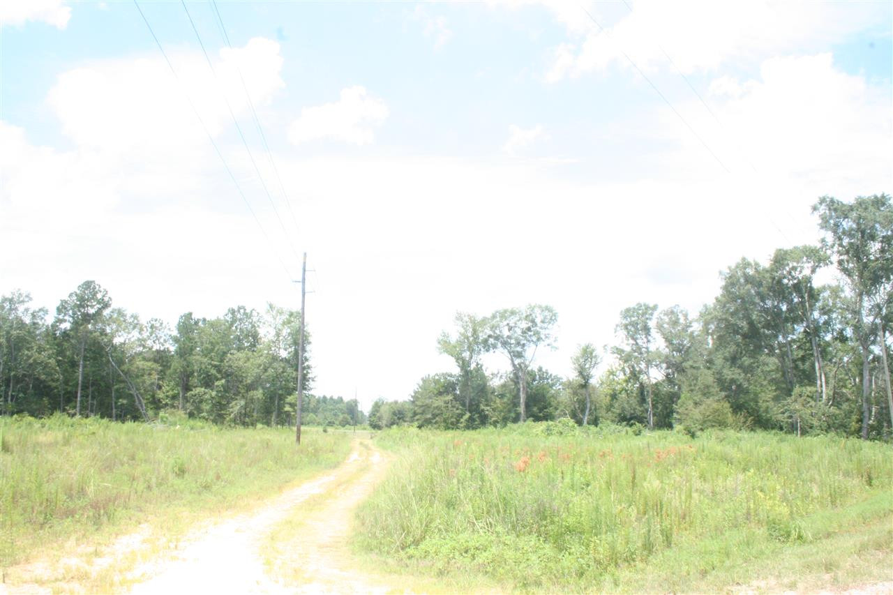 0 Pleasant Valley Road Decatur, MS 39327 - Photo 17 of 17 Photo 17