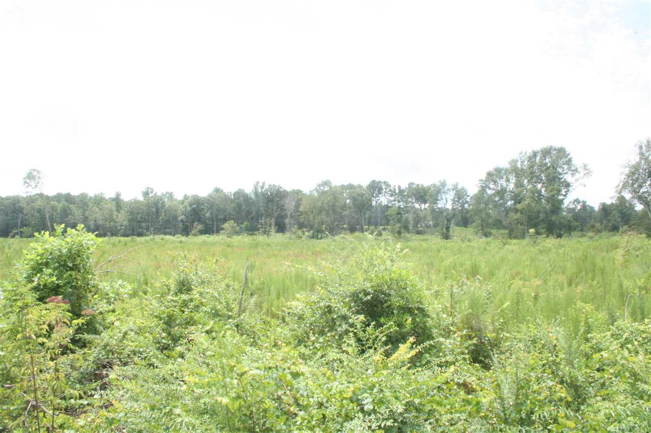 0 Pleasant Valley Road Decatur, MS 39327 - Photo 3 of 17 Photo 3