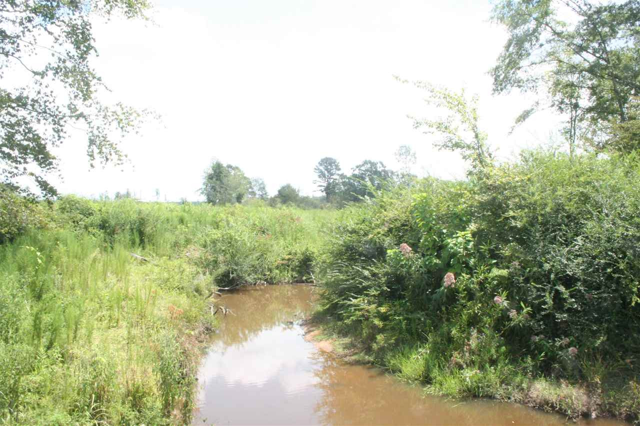0 Pleasant Valley Road Decatur, MS 39327 - Photo 8 of 17 Photo 8