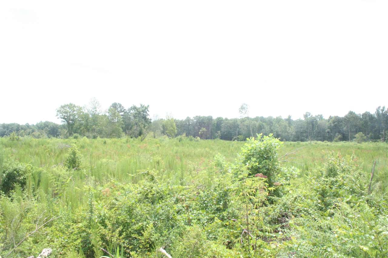 0 Pleasant Valley Road Decatur, MS 39327 - Photo 9 of 17 Photo 9