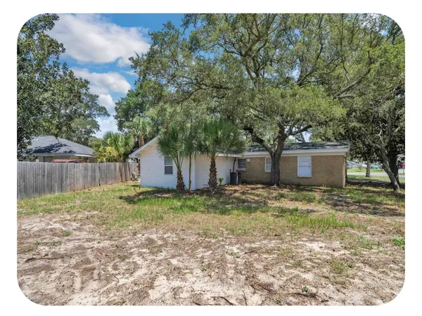 a view of a tree in a yard