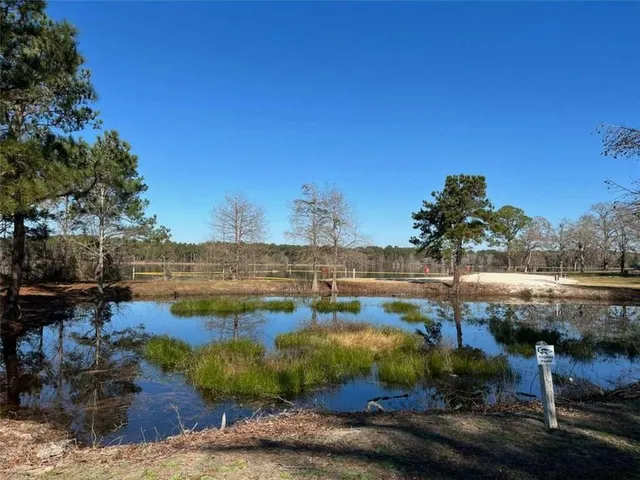 $575,000 | 871 Eufaula Highway, Fort Gaines, GA 39851