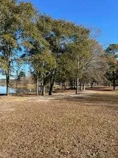 $575,000 | 871 Eufaula Highway, Fort Gaines, GA 39851