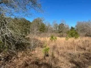 $575,000 | 871 Eufaula Highway, Fort Gaines, GA 39851