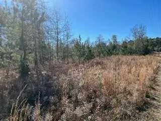 $575,000 | 871 Eufaula Highway, Fort Gaines, GA 39851