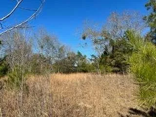 $575,000 | 871 Eufaula Highway, Fort Gaines, GA 39851