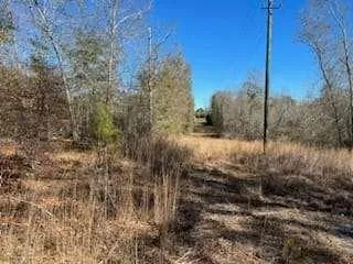 $575,000 | 871 Eufaula Highway, Fort Gaines, GA 39851