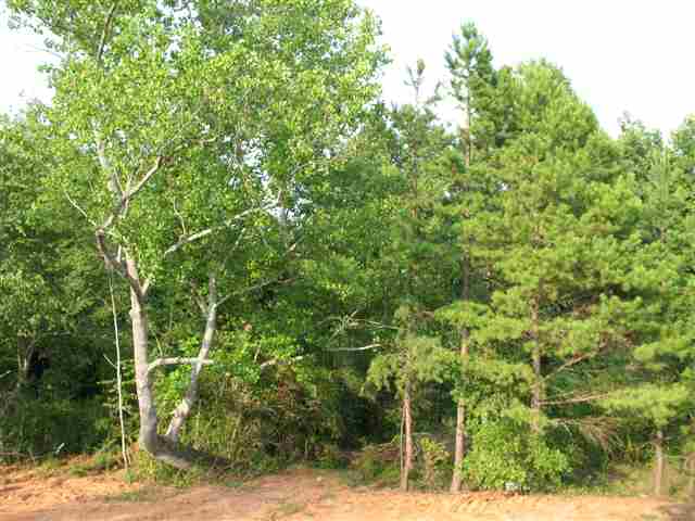 235 Abners Trail Road, Unit DISTRICT Greer, SC 29651 - Photo 22 of 25 Gallery Image 22