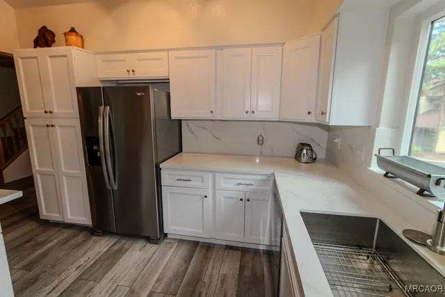 a view of a garden with plants and large trees