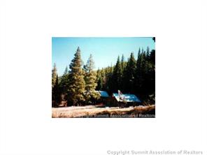 3224 Tiger Road Breckenridge, CO 80424 - Photo 1 of 8 Gallery Image 1
