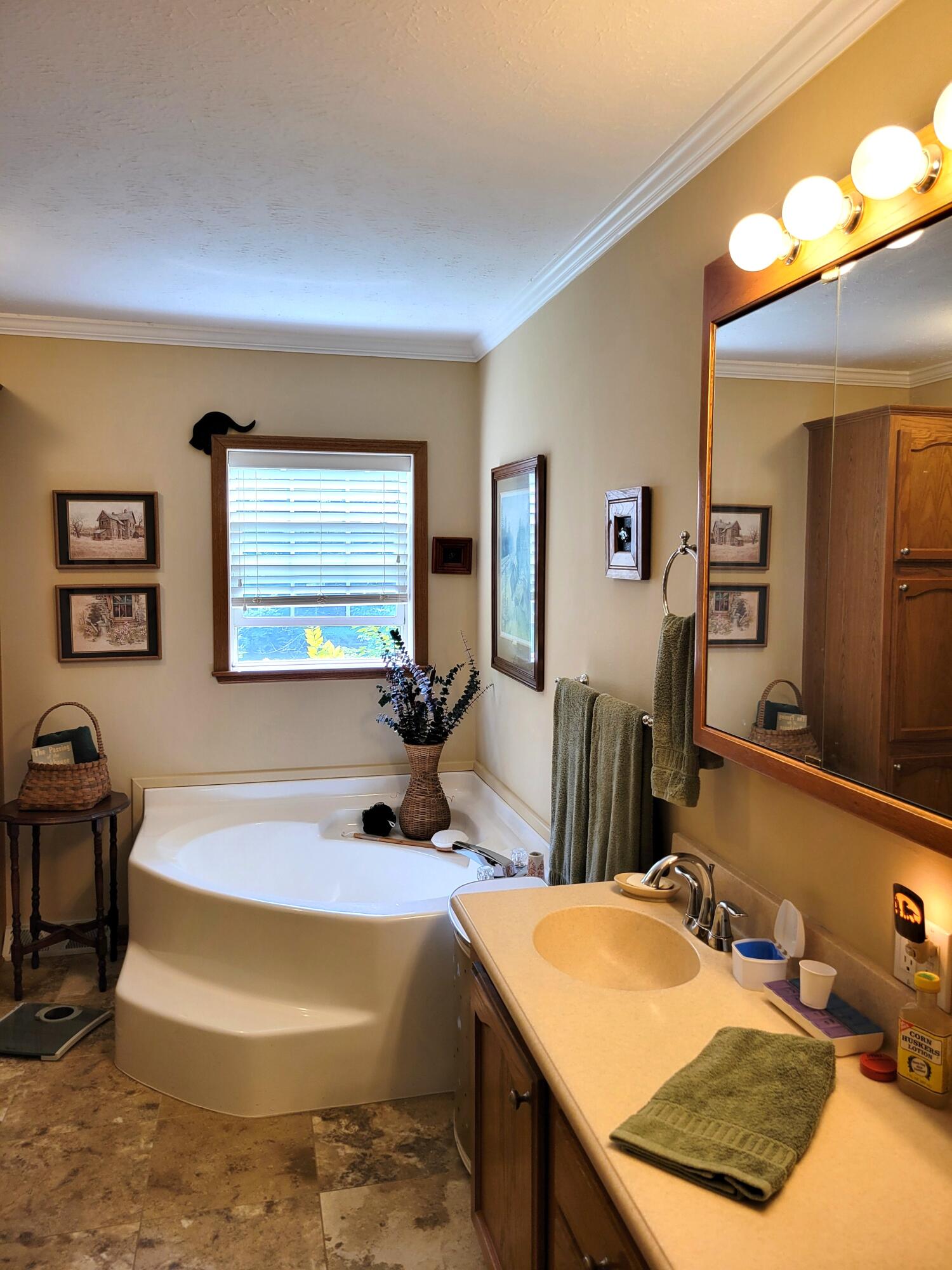 9687 Long Rapids Road Alpena, MI 49707 - Photo 6 of 22 Master Bath