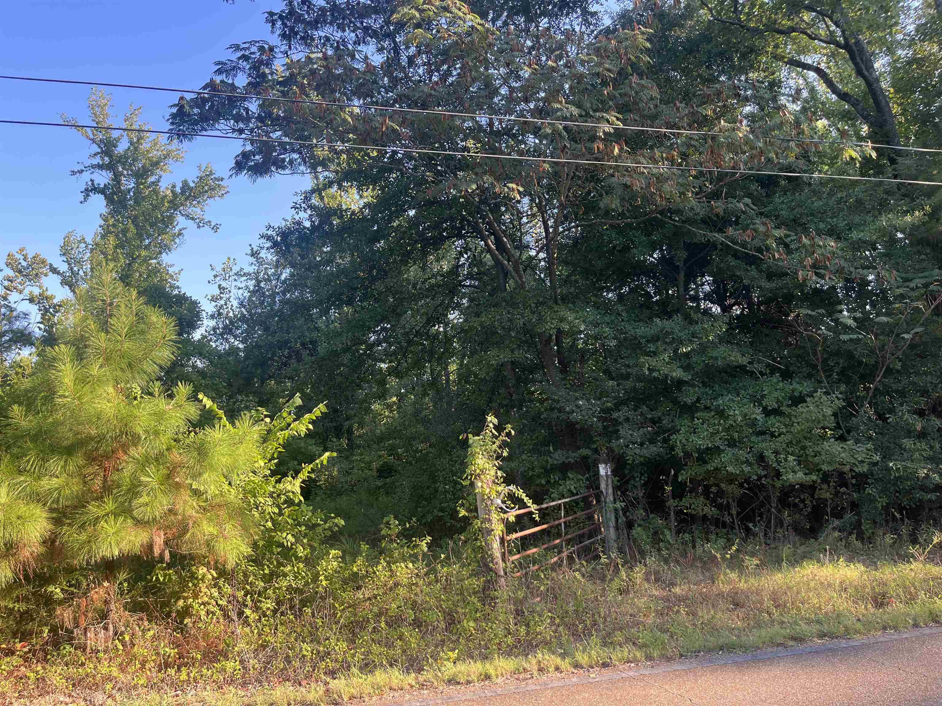 0 St Paul Road Millington, TN 38053 - Photo 2 of 5 Gallery Image 2