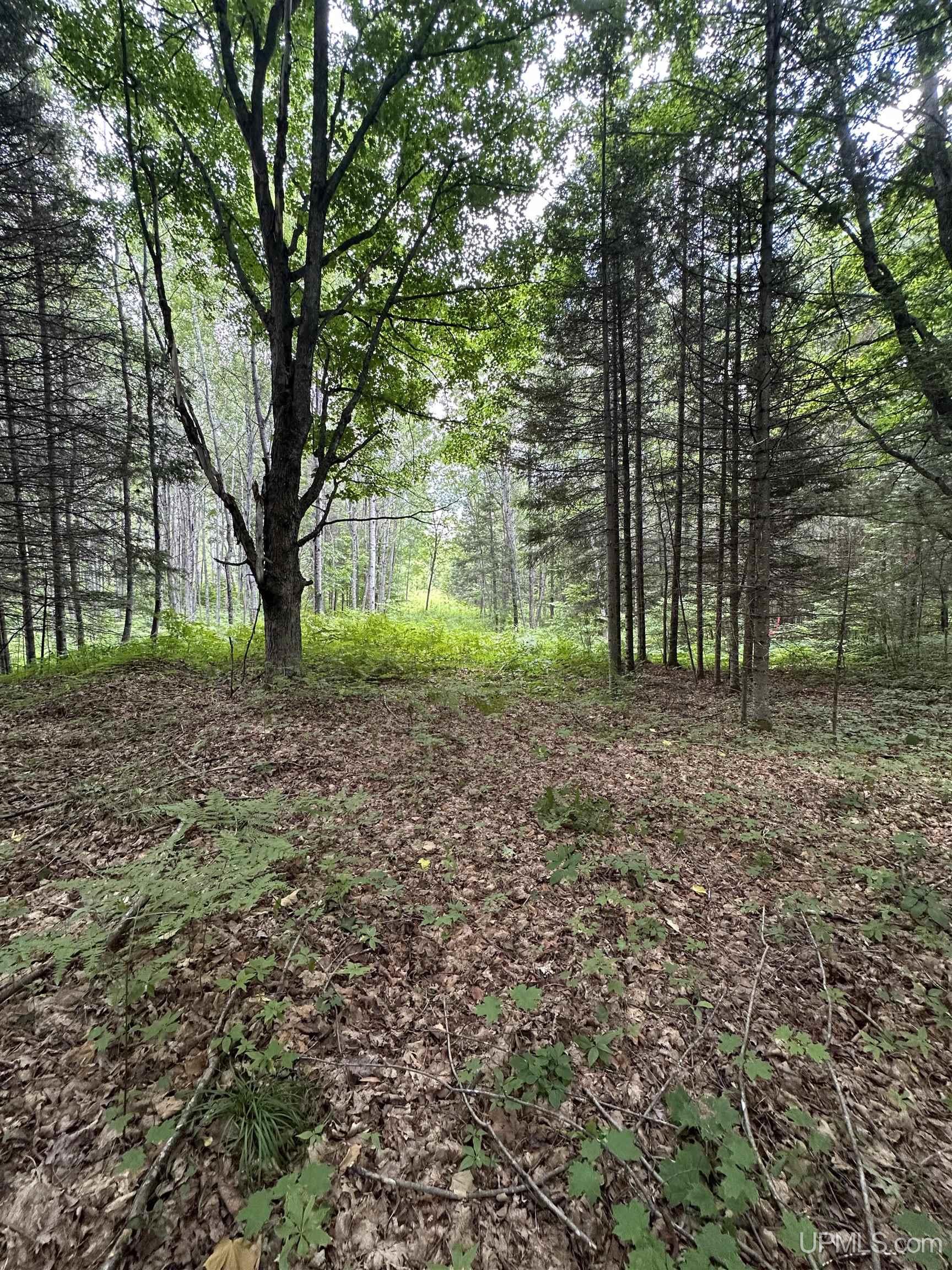 30664 Co Road Gwinn, MI 49841 - Photo 35 of 57
