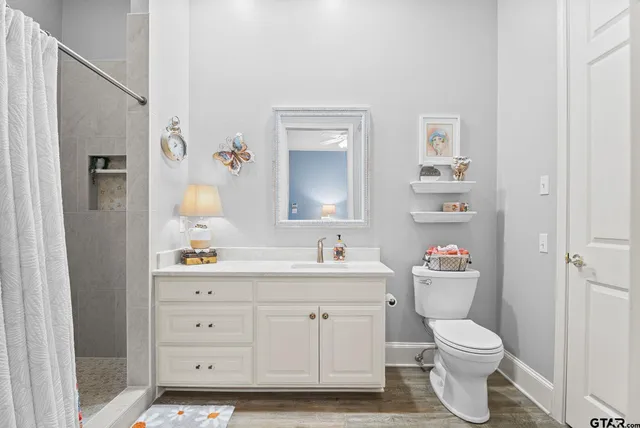 a bathroom with a toilet a sink a vanity and mirror