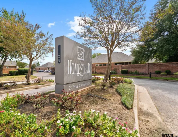 a view of a street with a large tree