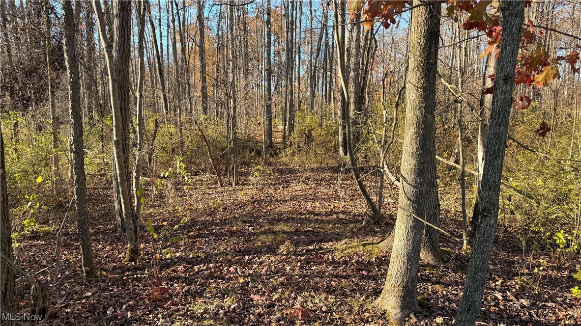 307 State Route Dorset, OH 44032 - Photo 27 of 50