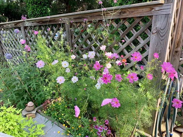 a view of statue in a garden