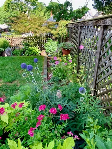 a view of a garden with flowers