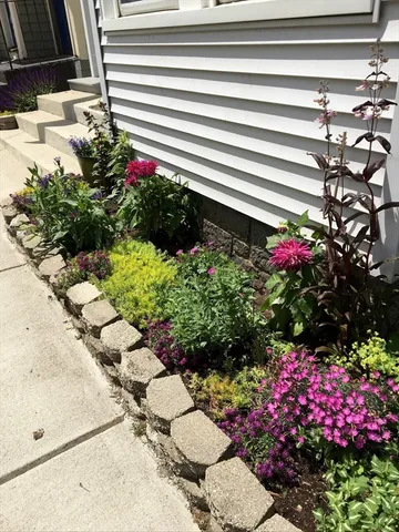 a view of a flower in a yard