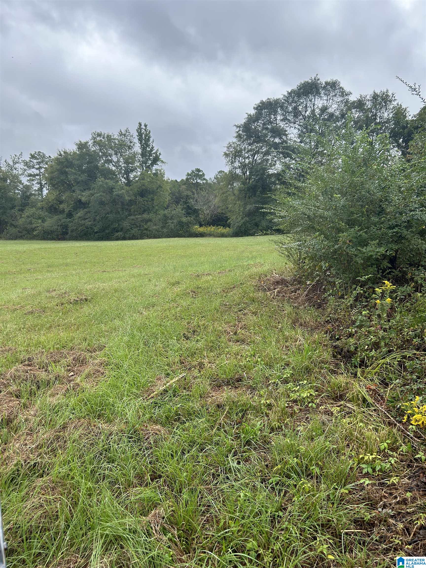 10857 Highway 17, Unit 2 ALABASTER MUN OF R2 Montevallo, AL 35115 - Photo 4 of 8