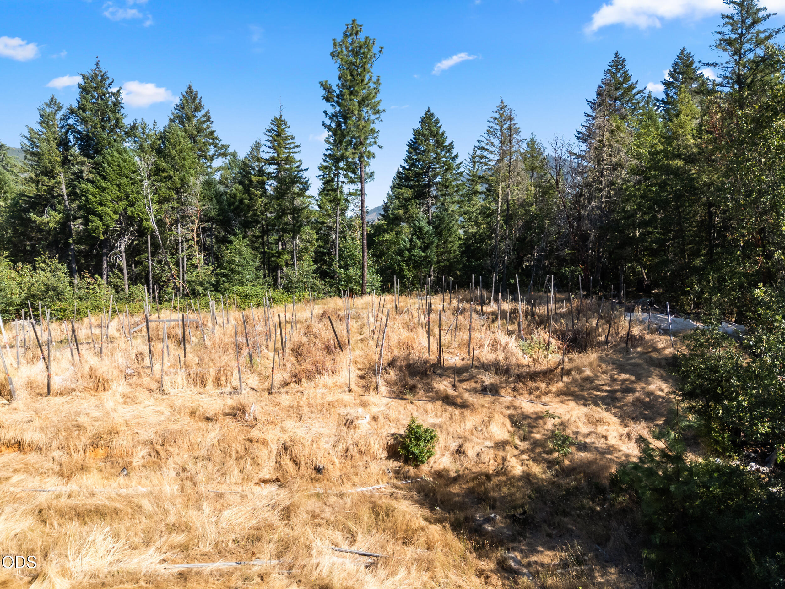 155 Kerby Mainline Road Kerby, OR 97531 - Photo 28 of 50 Gallery Image 28