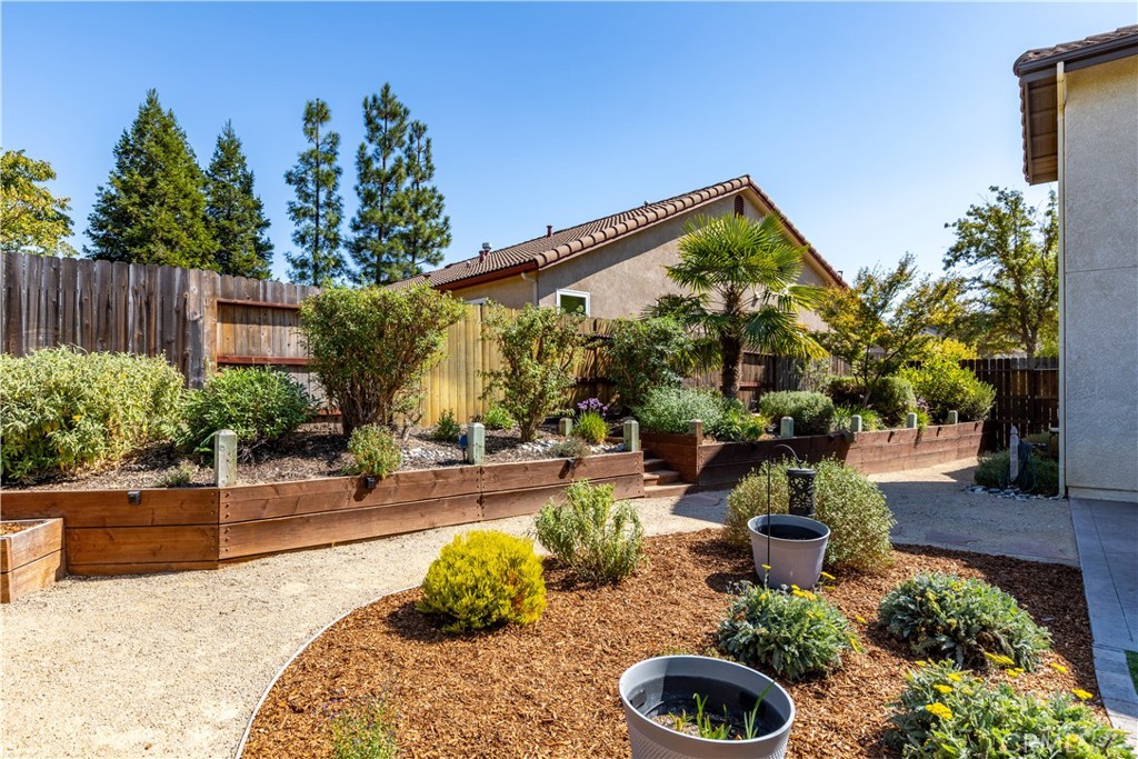 142 Via Camelia Paso Robles, CA 93446 - Photo 38 of 43 a view of a backyard with plants and patio
