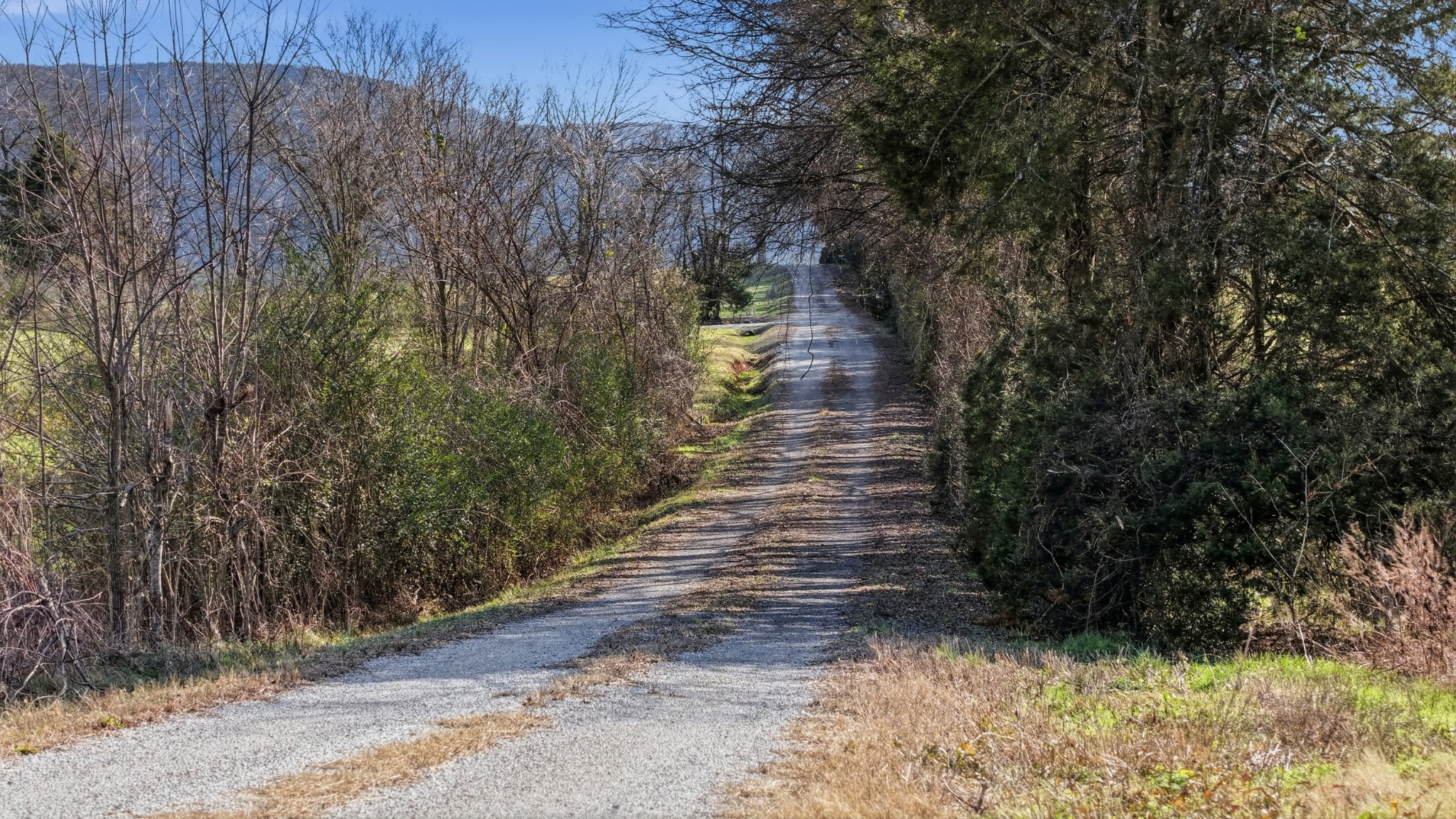 640 Dotson Cemetery Road Decherd, TN 37324 - Photo 3 of 18 a view of a pathway of a yard