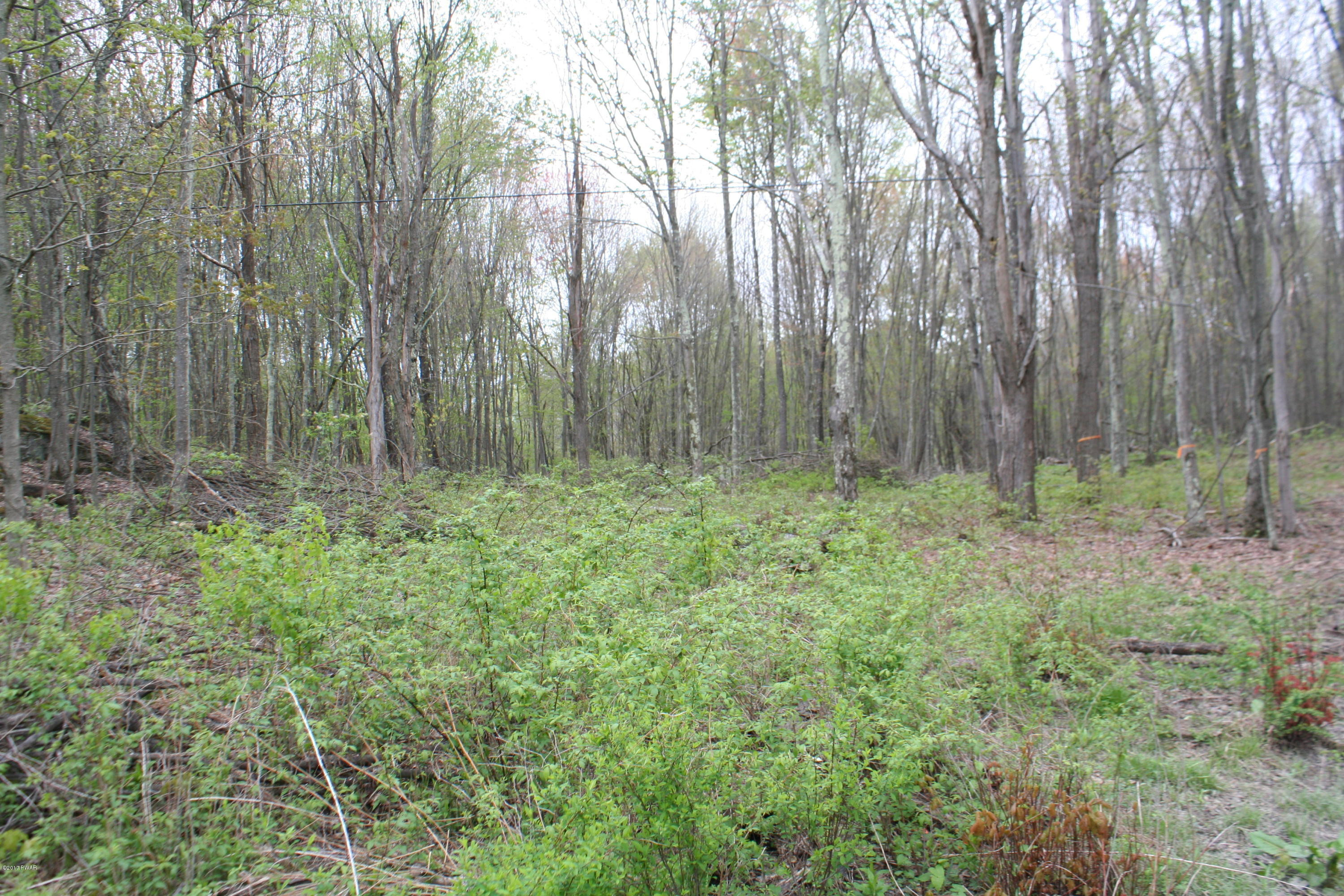 255 North Smith Road Waymart, PA 18472 - Photo 3 of 8