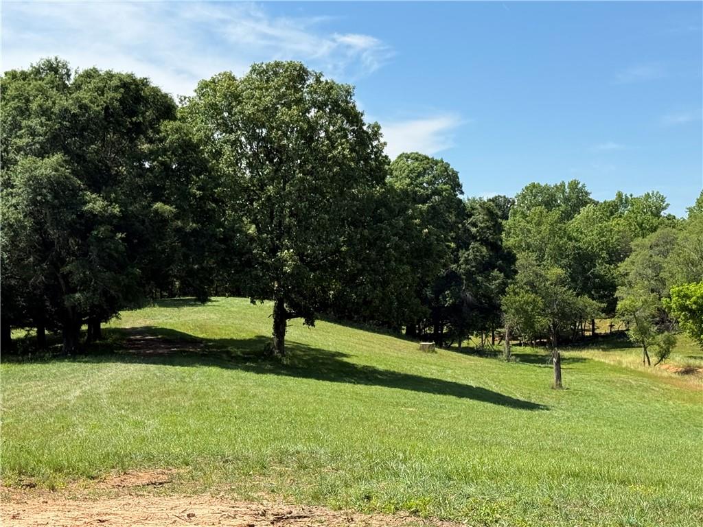 603 Wall Bridge Road Clarkesville, GA 30523 - Photo 2 of 21
