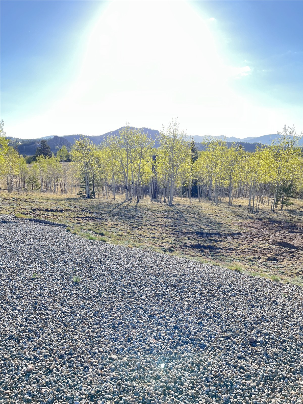 12 Loon Lane Como, CO 80432 - Photo 13 of 31