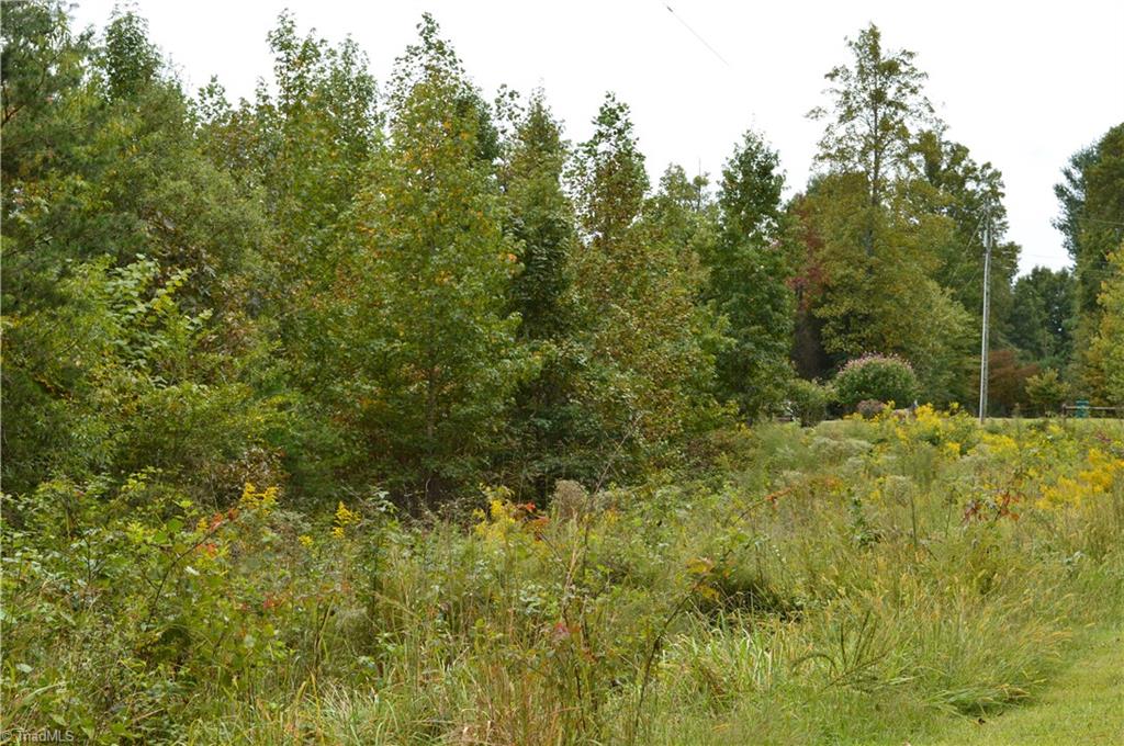 0 Snead Road Stoneville, NC 27048 - Photo 3 of 7 Gallery Image 3