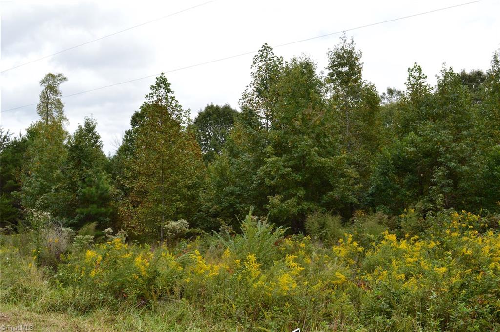 0 Snead Road Stoneville, NC 27048 - Photo 4 of 7 Gallery Image 4