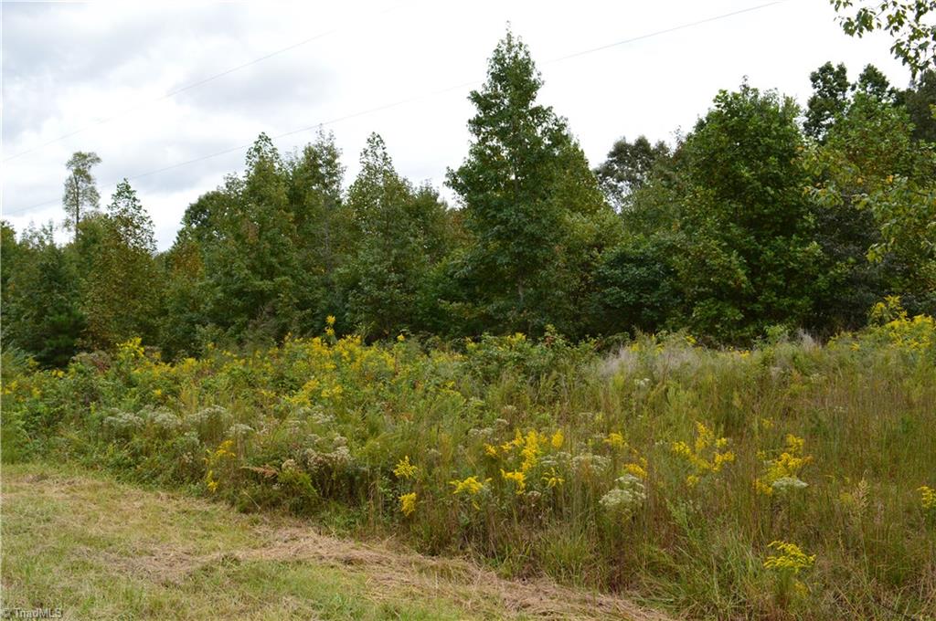 0 Snead Road Stoneville, NC 27048 - Photo 5 of 7 Gallery Image 5