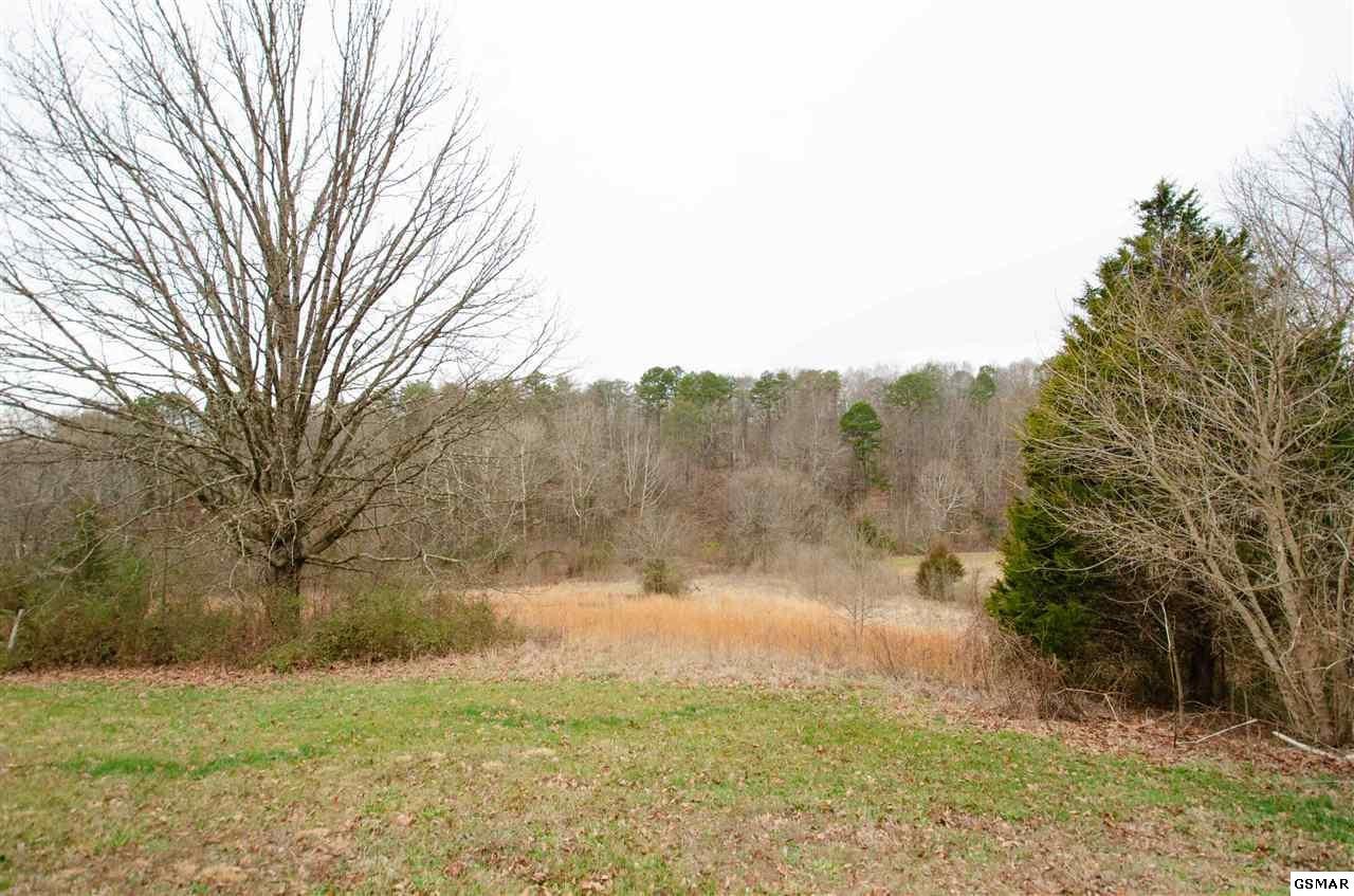 3435 Sims Road Sevierville, TN 37876 - Photo 4 of 22