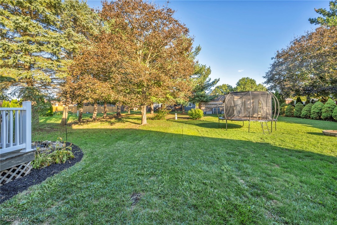 300 Decourcey Rittman, OH 44270 - Photo 45 of 48 View of green lawn