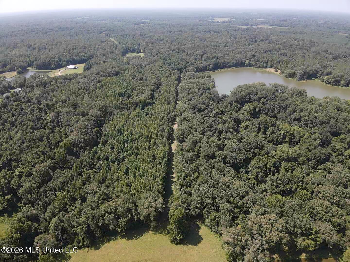 Wildwood Road Vaughan, MS 39179 - Photo 16 of 51 2026-07-28-11-01-42-503